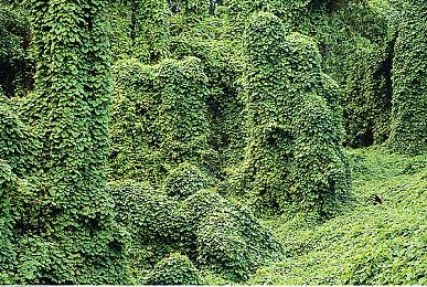 Steam喜加一：赛马游戏《Knightfall: A Daring Journey》免费领取